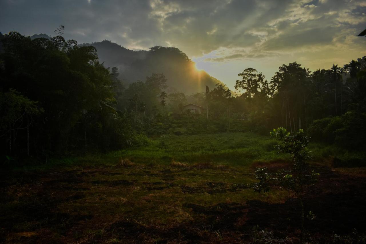 Blue Magpie Lodge Sinharaja Kudawe ภายนอก รูปภาพ