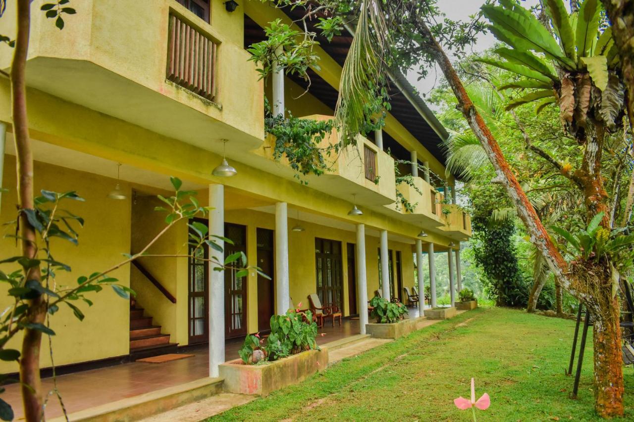 Blue Magpie Lodge Sinharaja Kudawe ภายนอก รูปภาพ